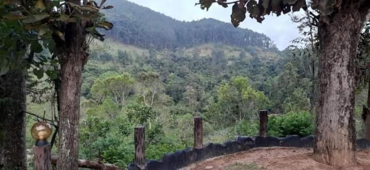 Ceylon Rich Leaves Ella Bed & Breakfast Ngoại thất bức ảnh